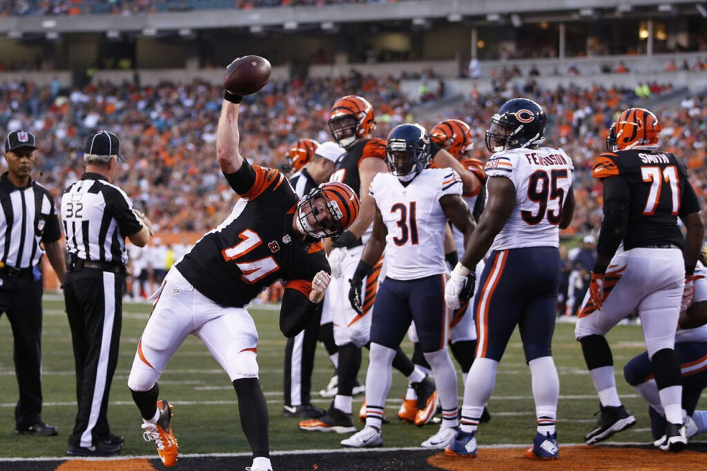 Bengals vs Chicago Bears Match Player Stats