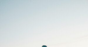 UCLA Bruins Football Vs Nebraska Cornhuskers Player Stats Revealed