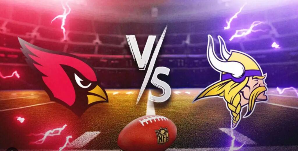 Minnesota Vikings Vs Arizona Cardinals Match Player Stats Revealed! 1 Minnesota Vikings Vs Arizona Cardinals Match Player Stats Revealed