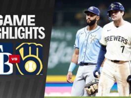 Tampa Bay Rays Vs Milwaukee Brewers Match Player Stats