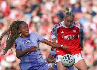 Arsenal vs Brighton Match Suspended: Player Receives Oxygen and Stretchered Off arsenal-vs-brighton-match-suspended-player-receives-oxygen-and-stretchered-off