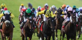 Cesarewitch Betting Tips: Templegate’s 20-1 Selections & Runner Guide cesarewitch-betting-tips-templegates-20-1-selections-runner-guide