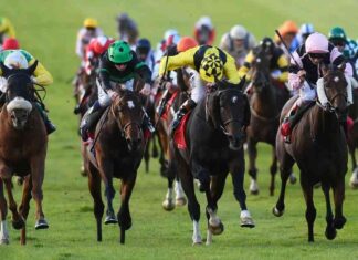 Cesarewitch Betting Tips: Templegate’s 20-1 Selections & Runner Guide cesarewitch-betting-tips-templegates-20-1-selections-runner-guide