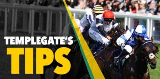 Gordon Elliott’s 18-1 NAP for Saturday’s Race gordon-elliotts-18-1-nap-for-saturdays-race