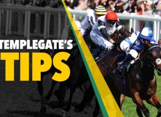 Gordon Elliott’s 18-1 NAP for Saturday’s Race gordon-elliotts-18-1-nap-for-saturdays-race