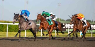 Monday Horseracing Tips: Kempton Nap & More – The Mirror monday-horseracing-tips-kempton-nap-more-the-mirror