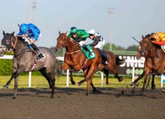 Monday Horseracing Tips: Kempton Nap & More – The Mirror monday-horseracing-tips-kempton-nap-more-the-mirror