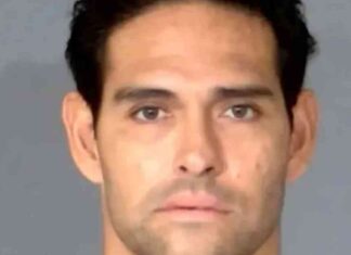 NFL Star Arrested for Alleged Delivery Driver Attack nfl-star-arrested-for-alleged-delivery-driver-attack