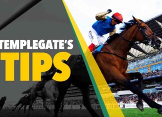 Proven Horse Racing Tips by Templegate: 5-2 NAP proven-horse-racing-tips-by-templegate-5-2-nap
