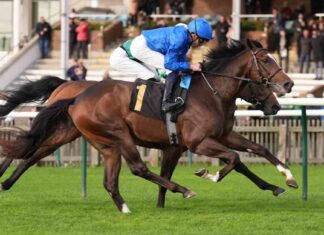 Tote Placepot Tips for Dewhurst Day at Newmarket tote-placepot-tips-for-dewhurst-day-at-newmarket