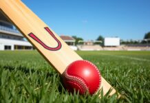 How to join a UK cricket team as a complete beginner How to join a UK cricket team as a complete beginner