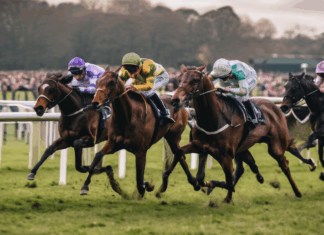 Plumpton Racecourse Perimeter Run Sparks Brilliant Derby Fury Plumpton Racecourse Perimeter Run Sparks Brilliant Derby Fury