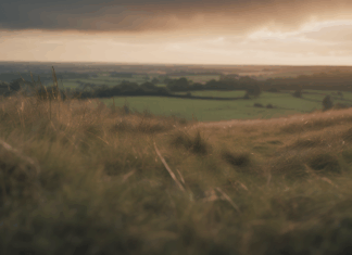 Running Crisis Rocks Smitham Downs in Dawn Disaster Running Crisis Rocks Smitham Downs in Dawn Disaster