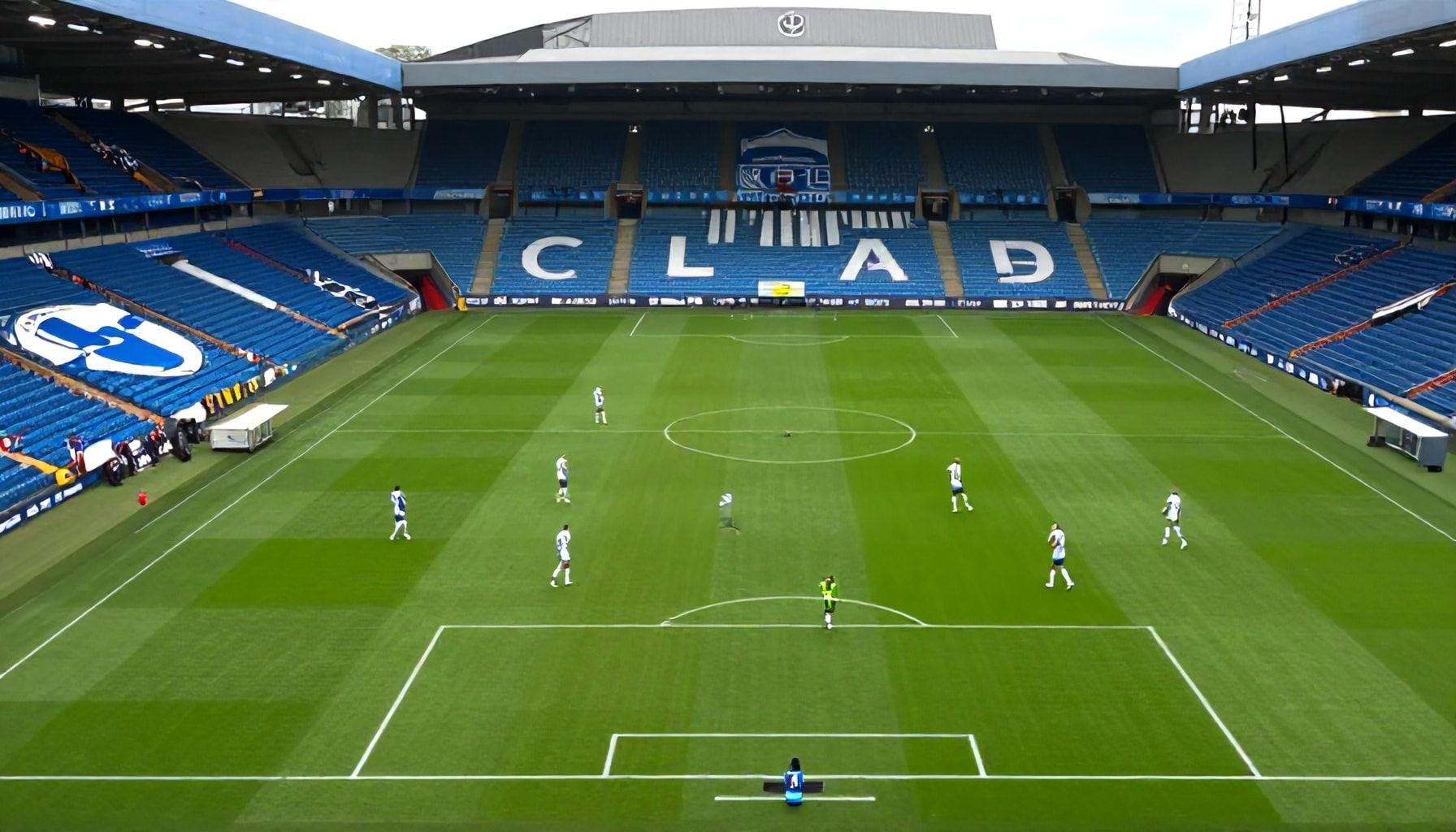 Brighton & Hove Albion Aim to Challenge Manchester City's Dominance