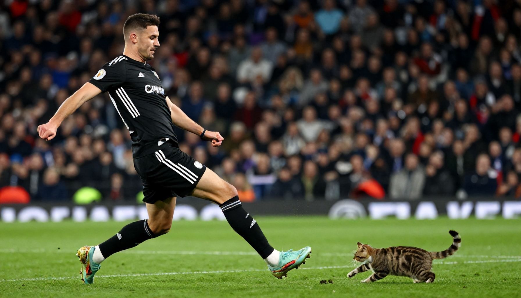 Footage Shows Kurt Zouma Kicking and Throwing Cat