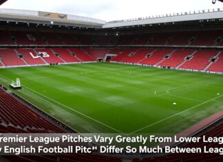 Premier League Pitches Vary Greatly From Lower Leagues