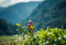 The Intersection of Sports and Environmental Conservation: A New Era of Sustainability The Intersection of Sports and Environmental Conservation: A New Era of Sustainability