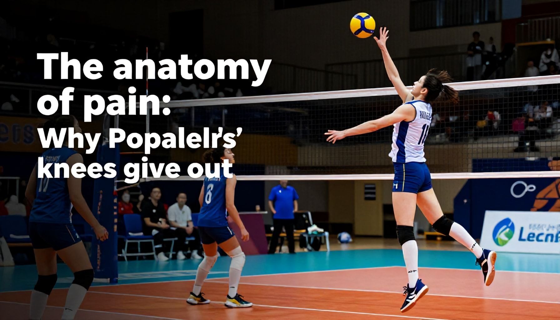The anatomy of pain: Why volleyball players’ knees give out