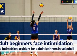 Adult beginners face intimidation in volleyball, survey finds