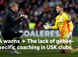 UK clubs neglect goalkeepers, FA warns